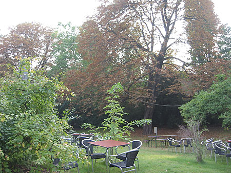 Garten 2